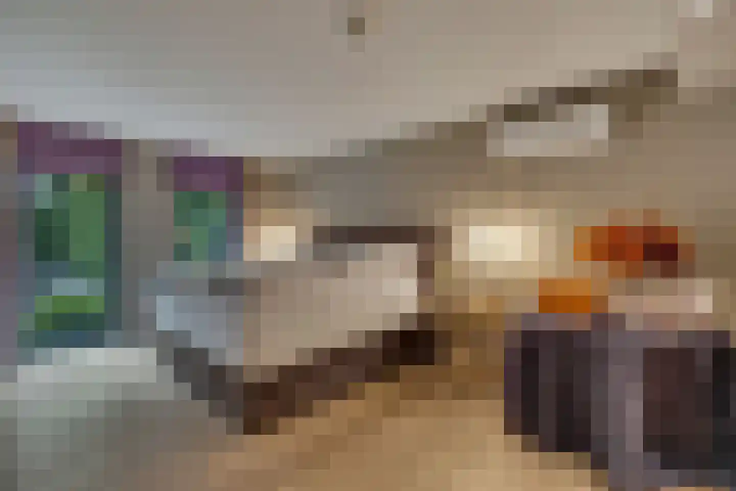 Aan de Maas 3620 Lanaken Maastricht thumbnail 17