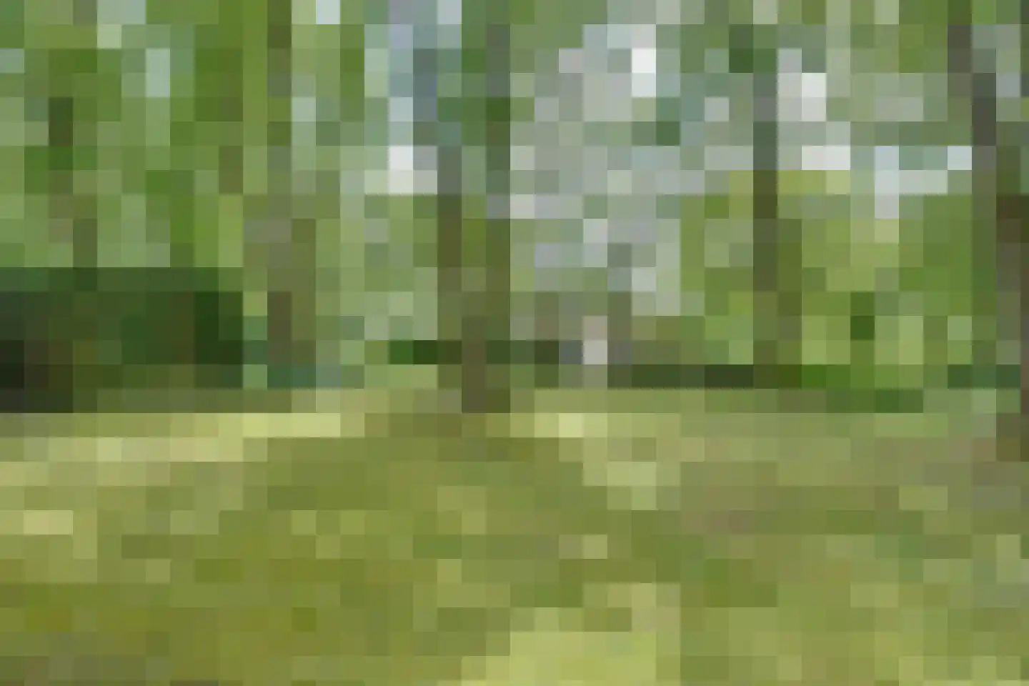 Aan de Maas 3620 Lanaken Maastricht thumbnail 32