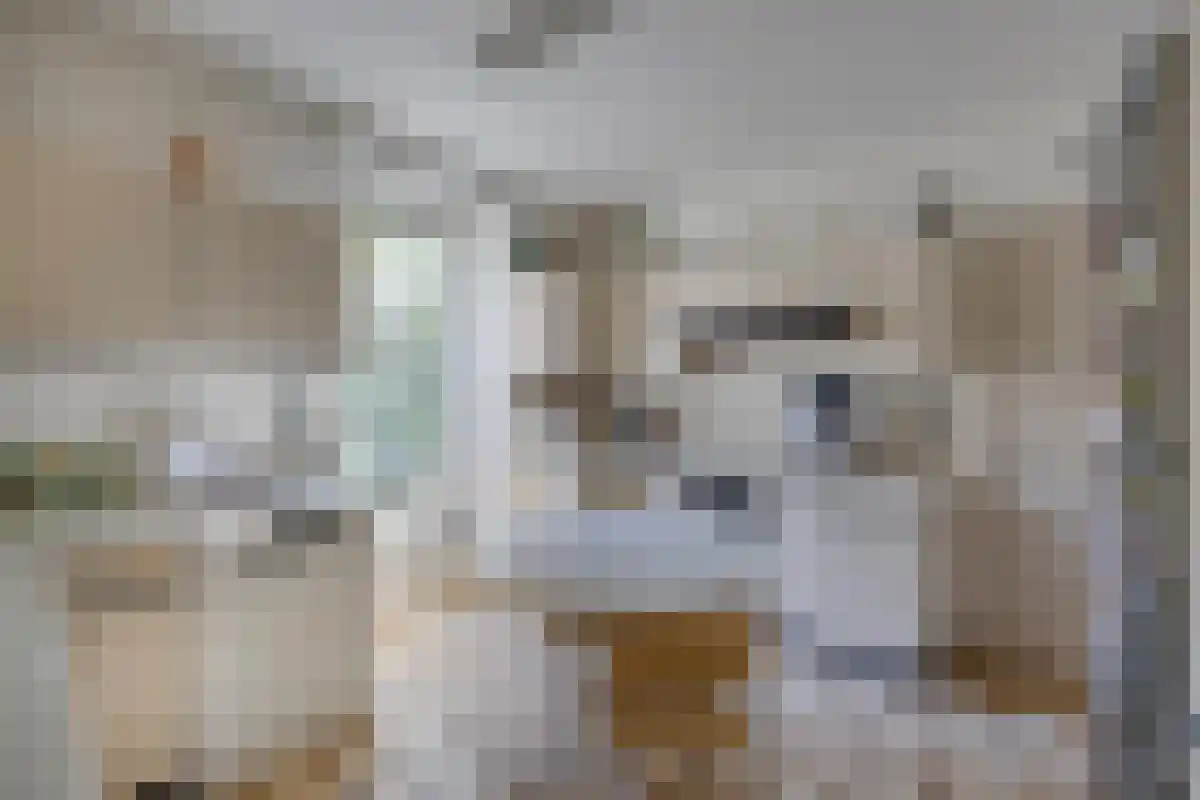 Aan de Maas 3621 Lanaken Geulle thumbnail 10