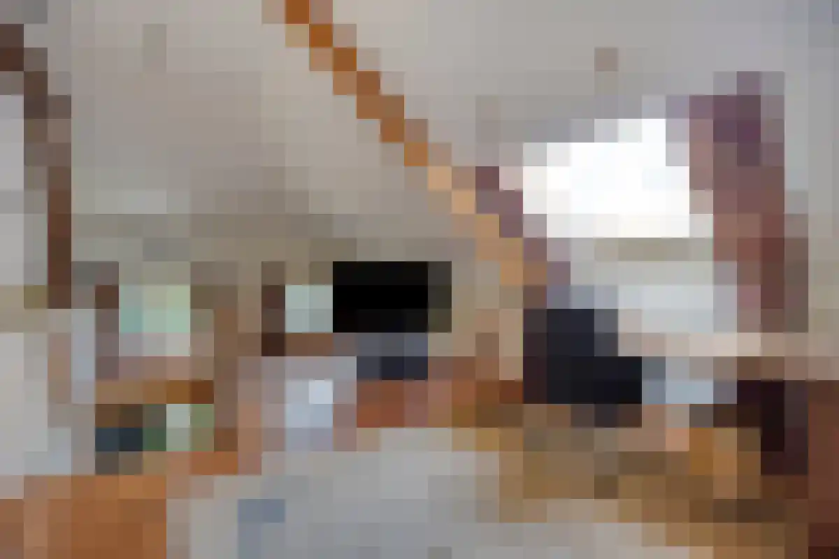 Aan de Maas 3621 Lanaken Geulle thumbnail 13