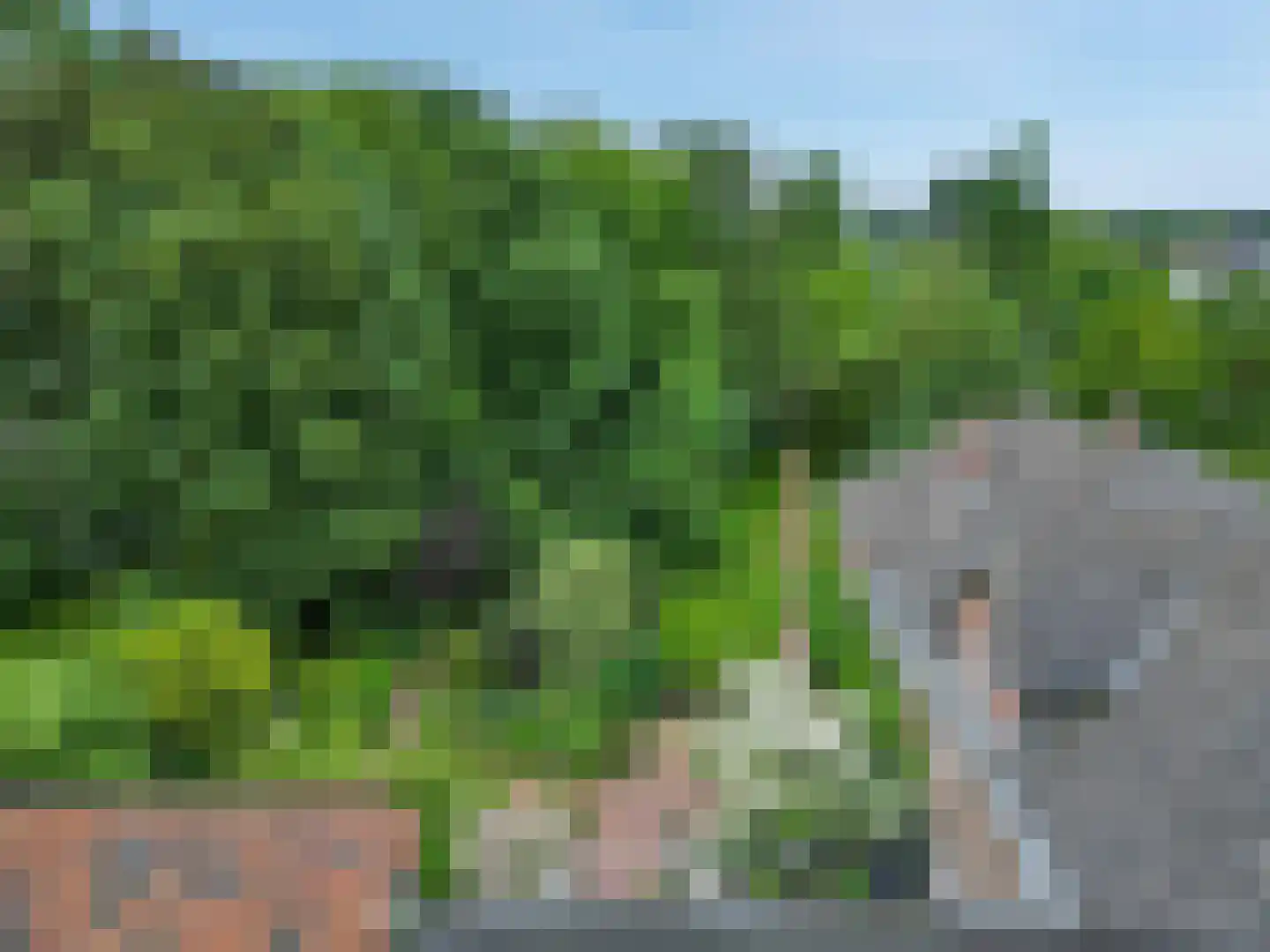 Aan de Maas 3621 Lanaken Geulle thumbnail 25