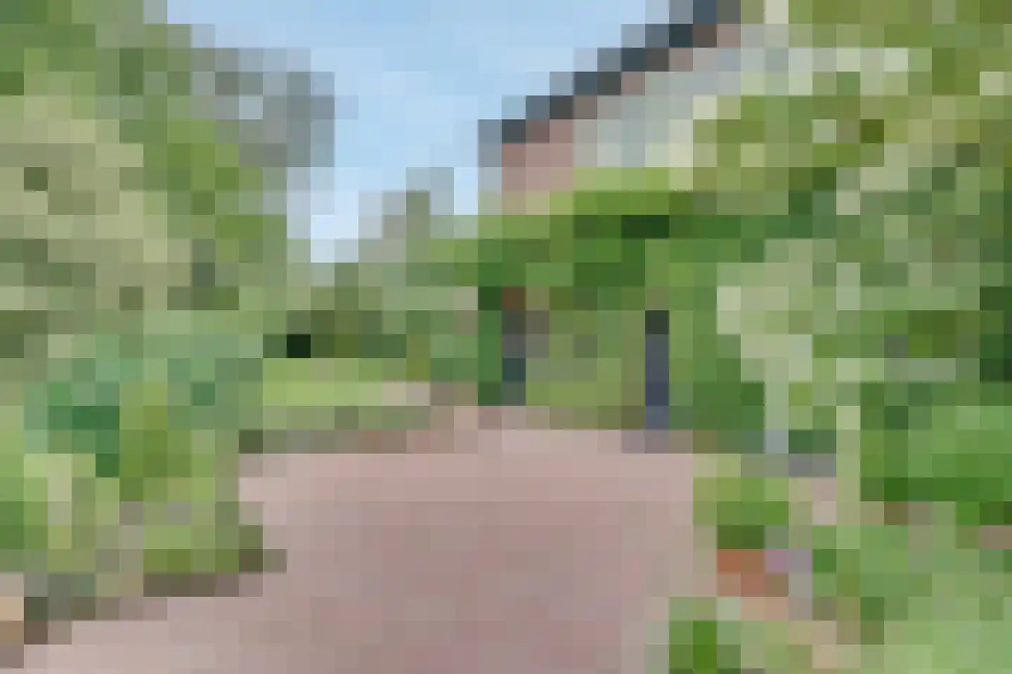 Aan de Maas 3621 Lanaken Geulle thumbnail 27