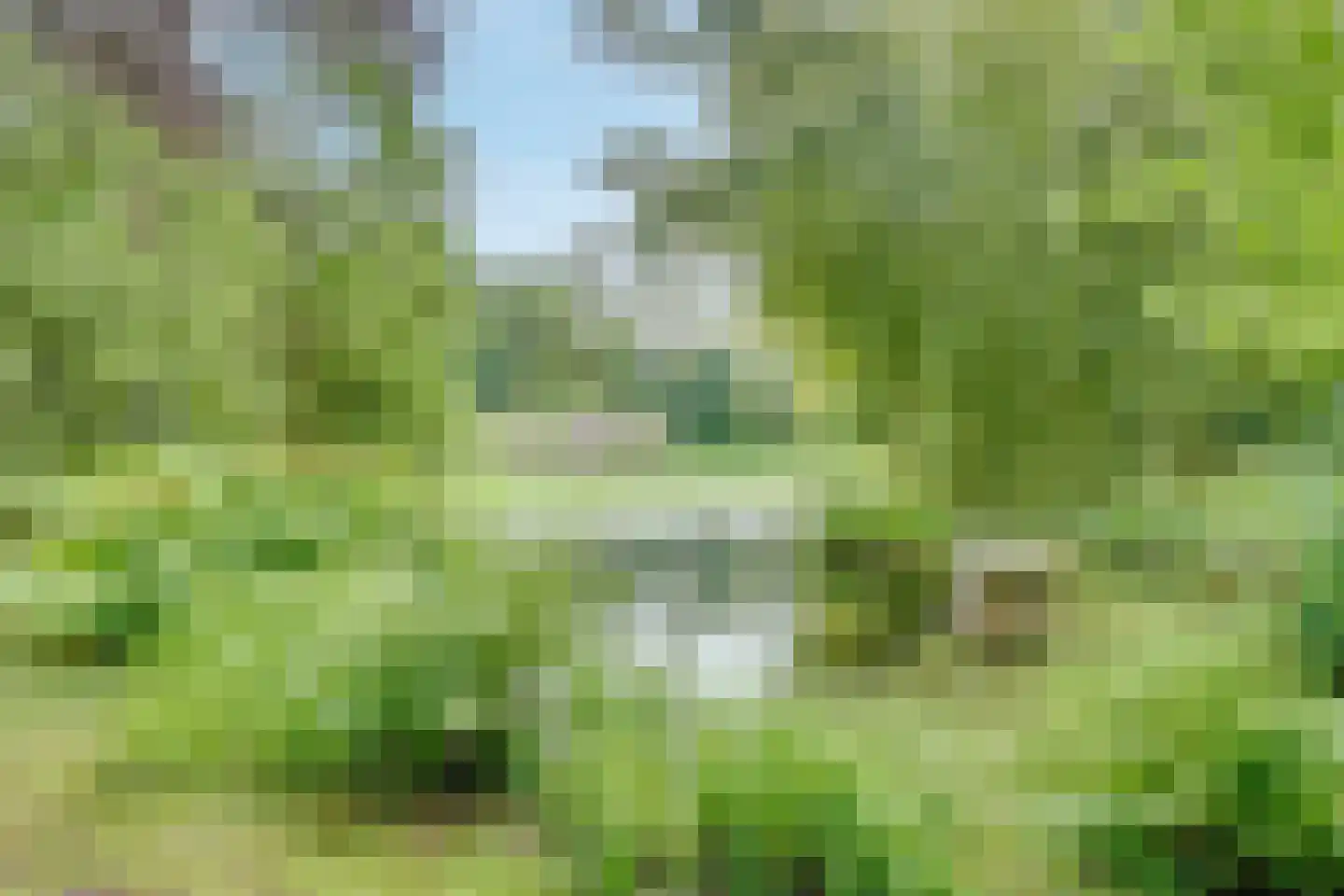 Aan de Maas 3621 Lanaken Geulle thumbnail 29