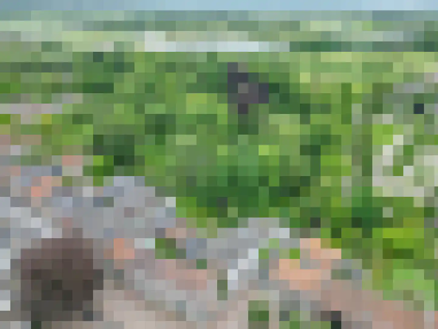 Aan de Maas 3621 Lanaken Geulle thumbnail 4