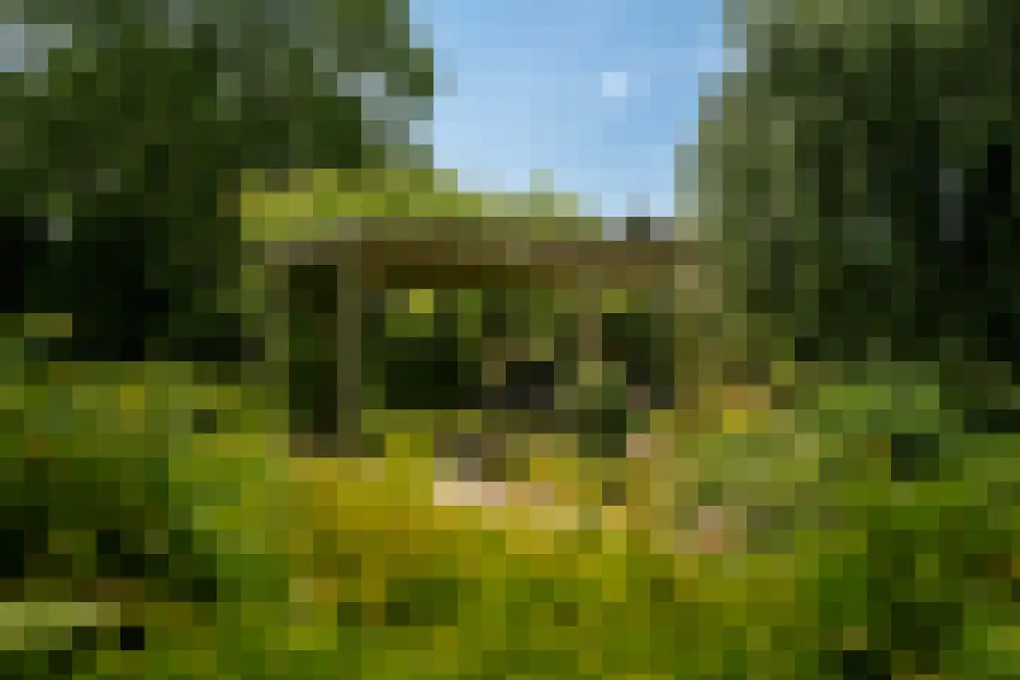 Aan de Maas 496 Geulle thumbnail 16