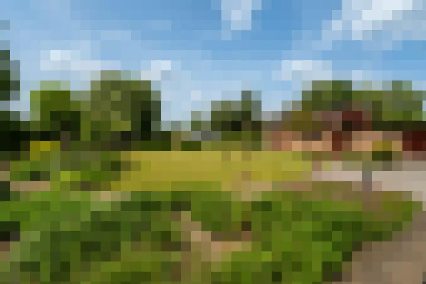 Aan de Maas 496 Geulle thumbnail 18