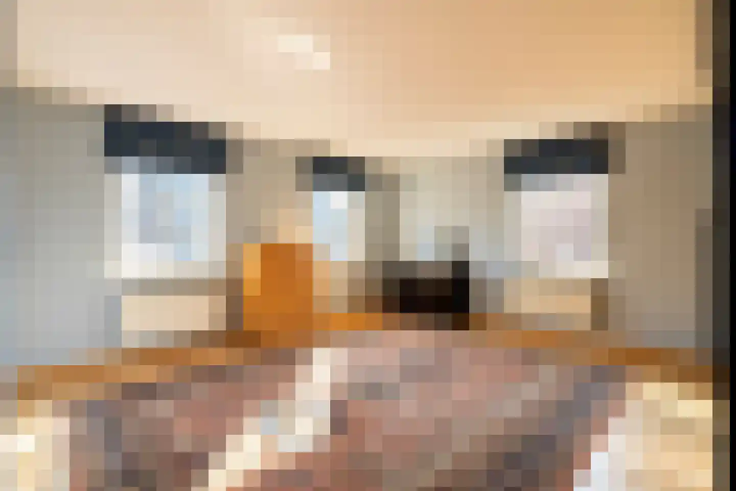 Aan de Maas 496 Geulle thumbnail 23