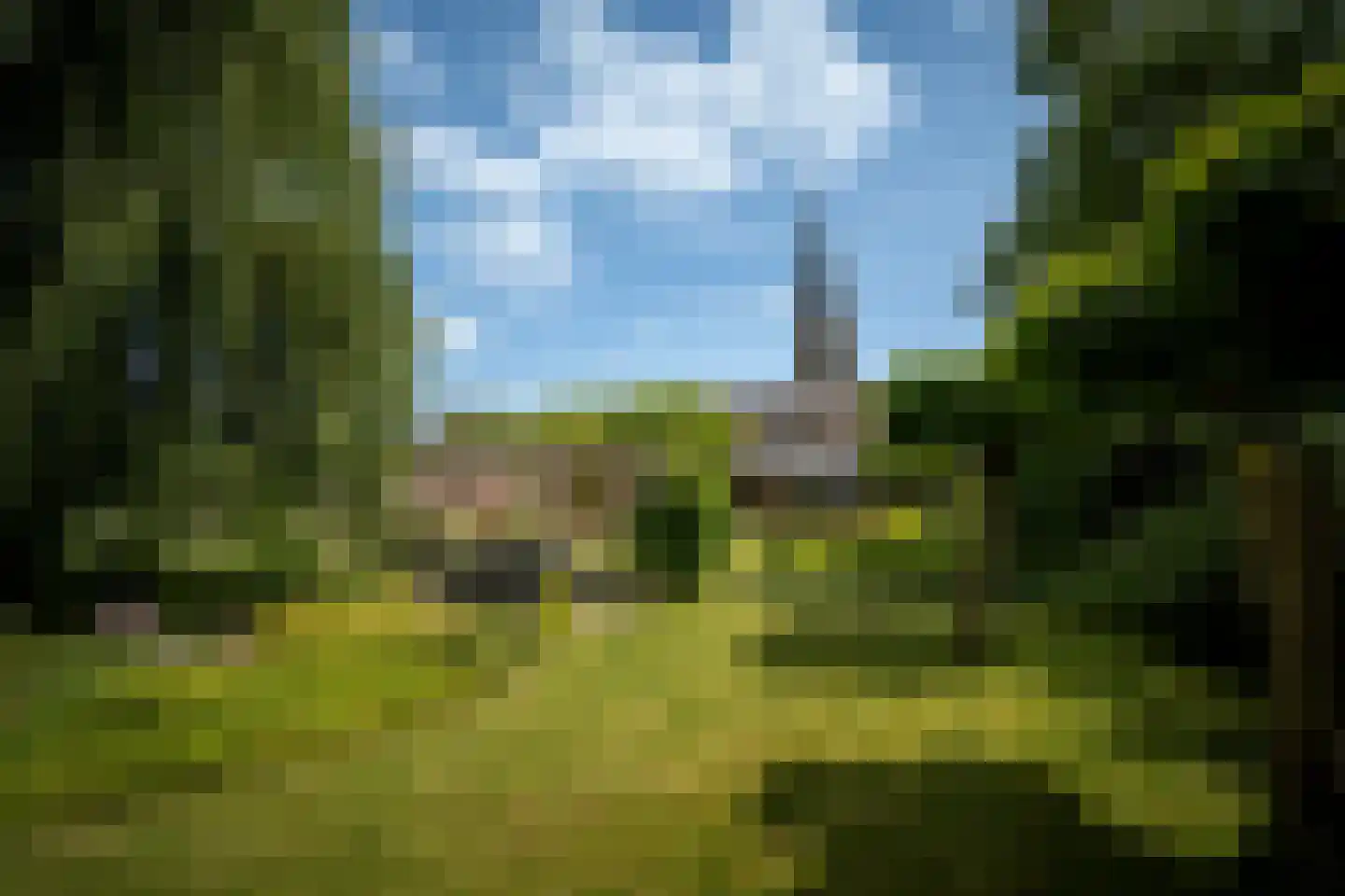 Aan de Maas 496 Geulle thumbnail 34