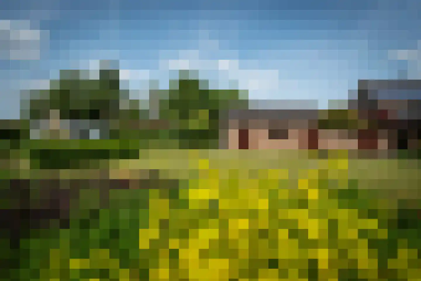 Aan de Maas 496 Geulle thumbnail 35