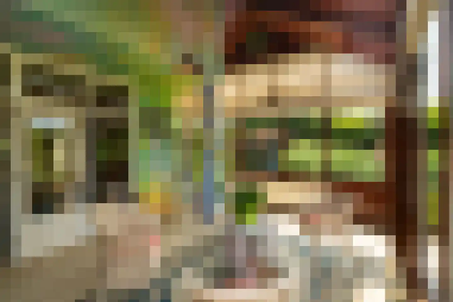 Aan de Maas 496 Geulle thumbnail 8