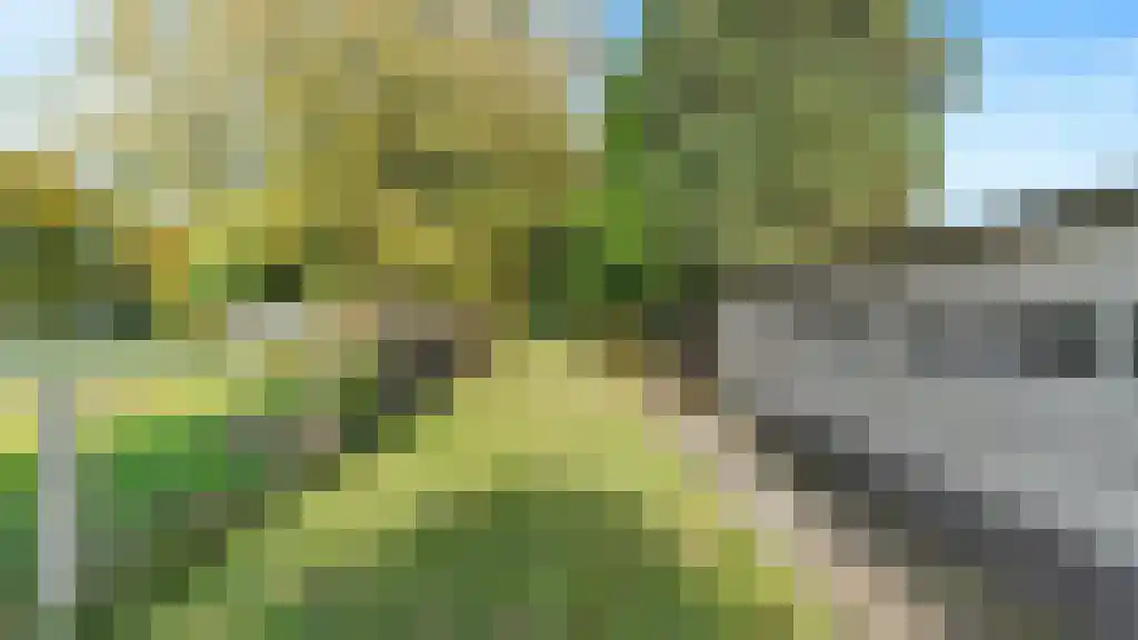 Aan de Maas 57 Geulle thumbnail 17