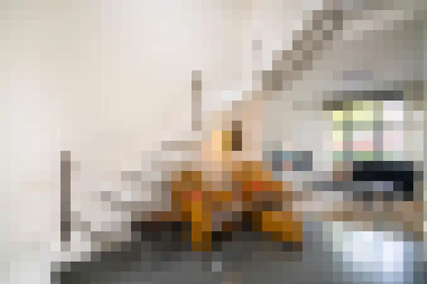 Aan de Maas 59 Geulle thumbnail 18