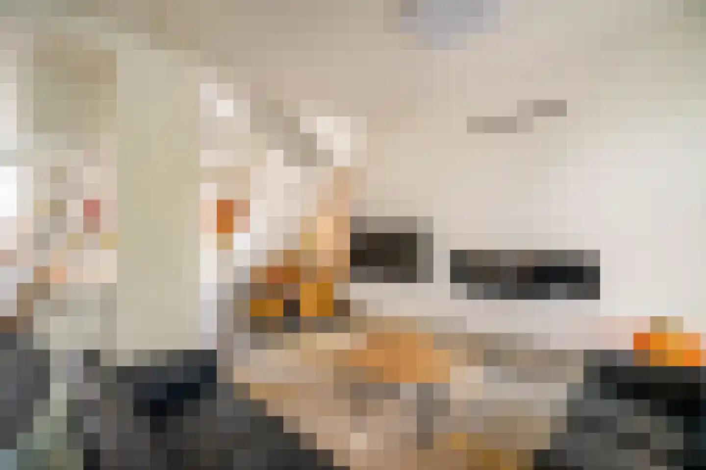 Aan de Maas 59 Geulle thumbnail 4