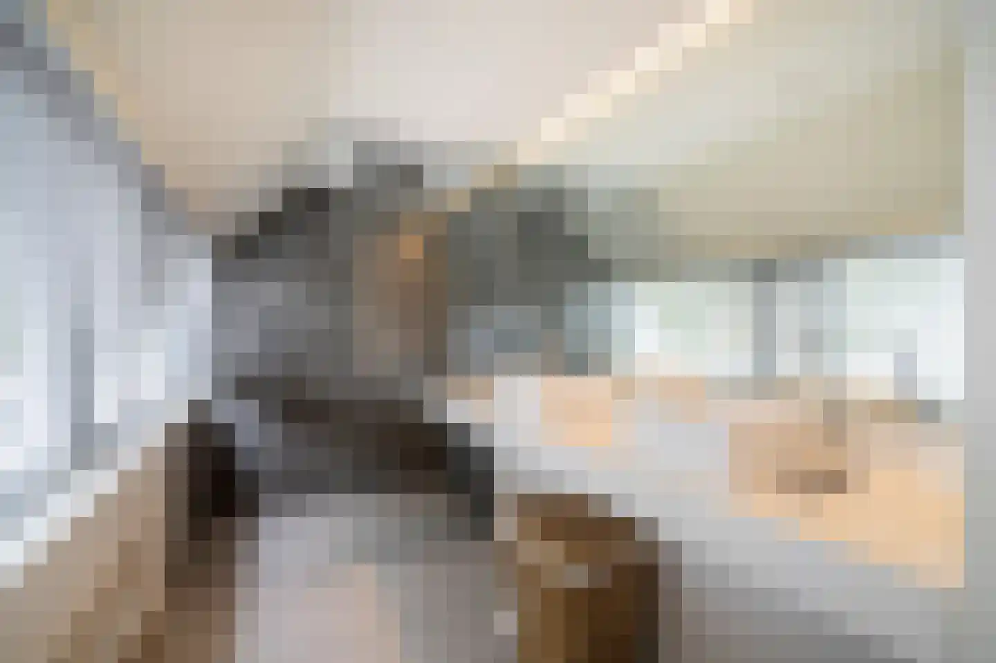 Aan de Maas 59 Geulle thumbnail 8