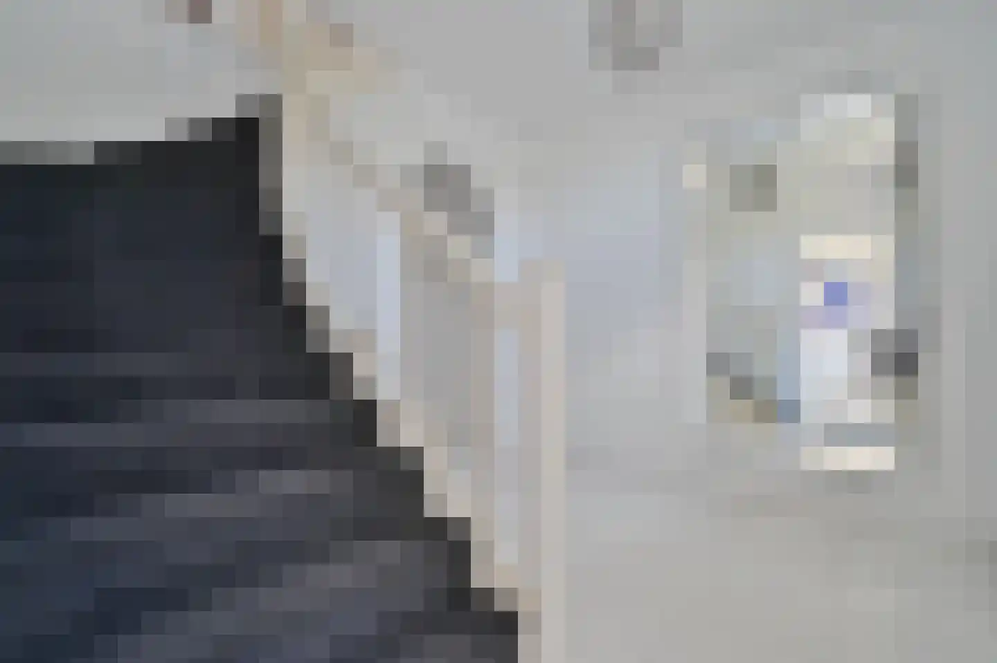 Aan de Maas 9 Maastricht thumbnail 21