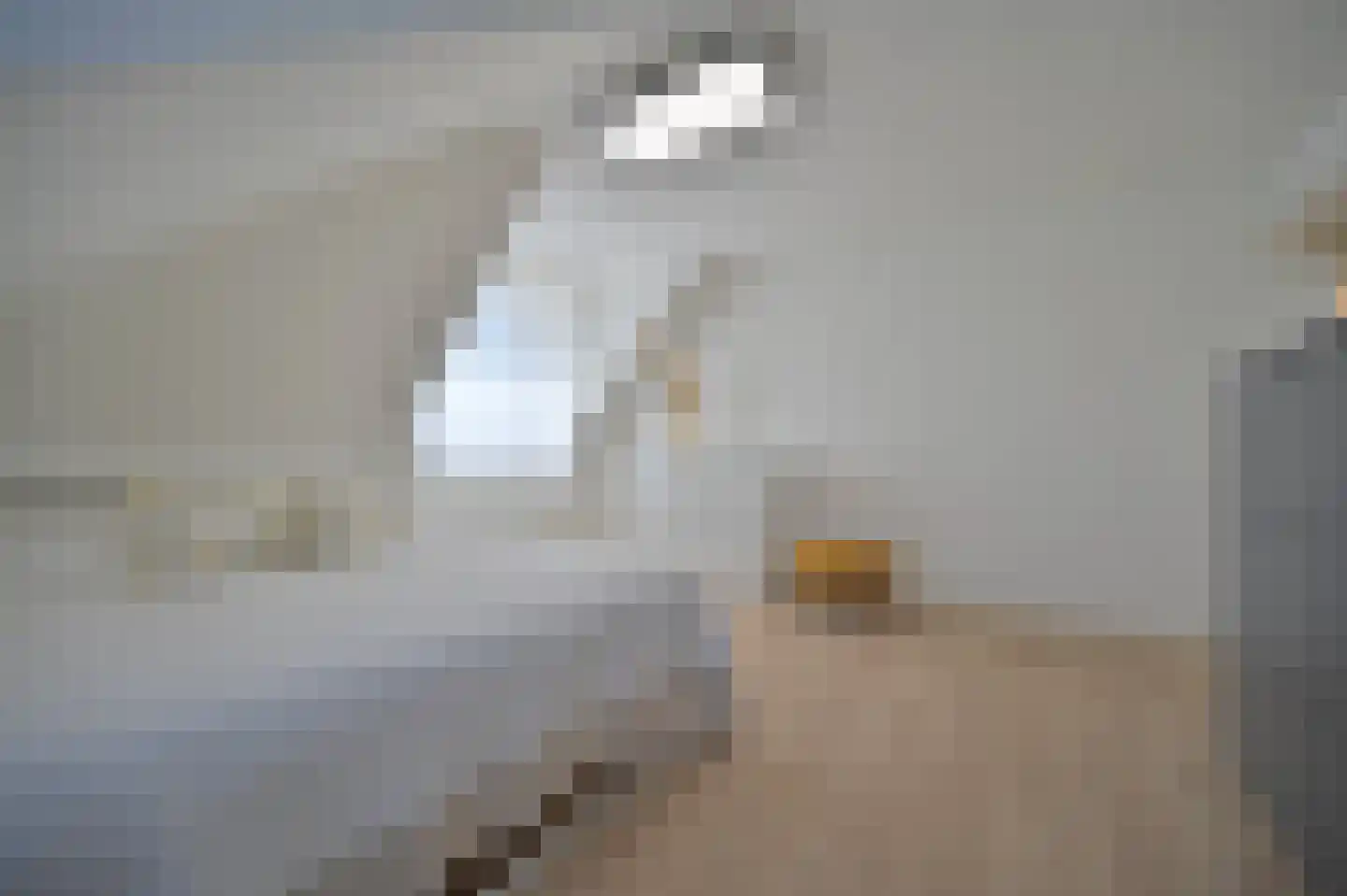 Aan de Maas 9 Maastricht thumbnail 31