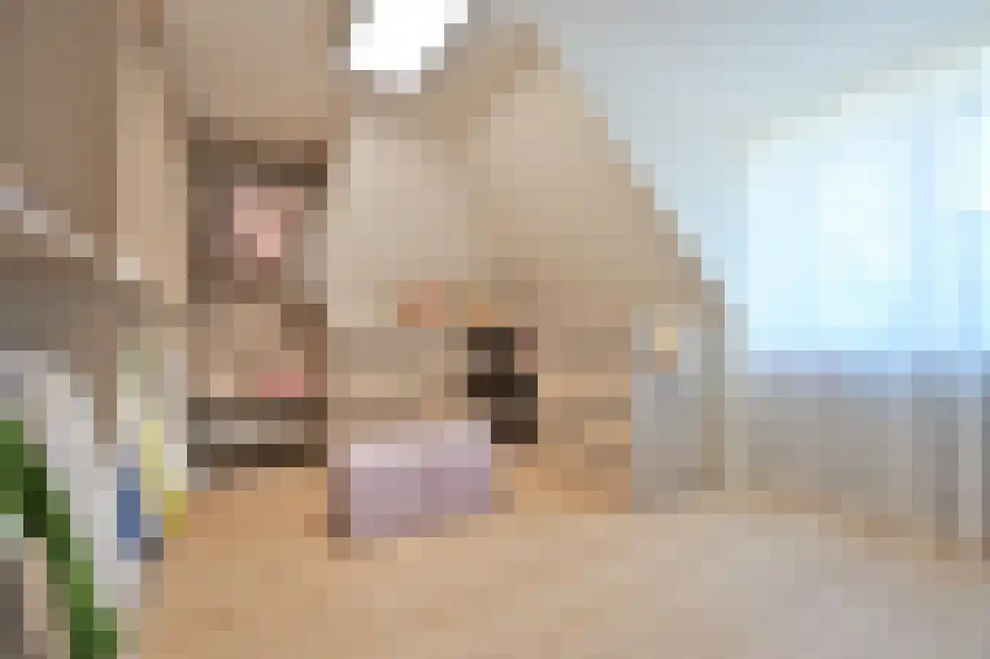 Aan de Maas 9 Maastricht thumbnail 33