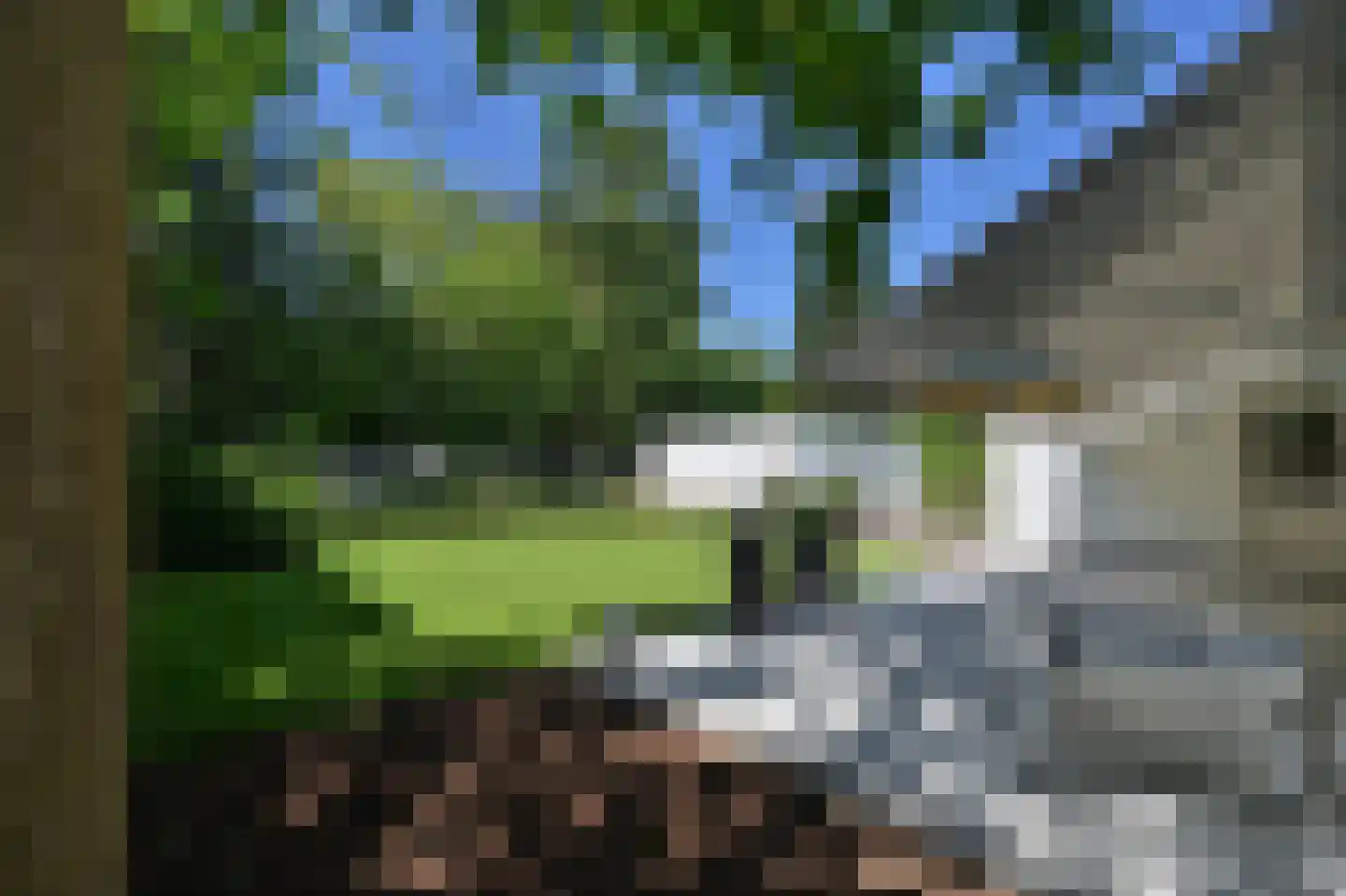 Aan de Maas 9 Maastricht thumbnail 5