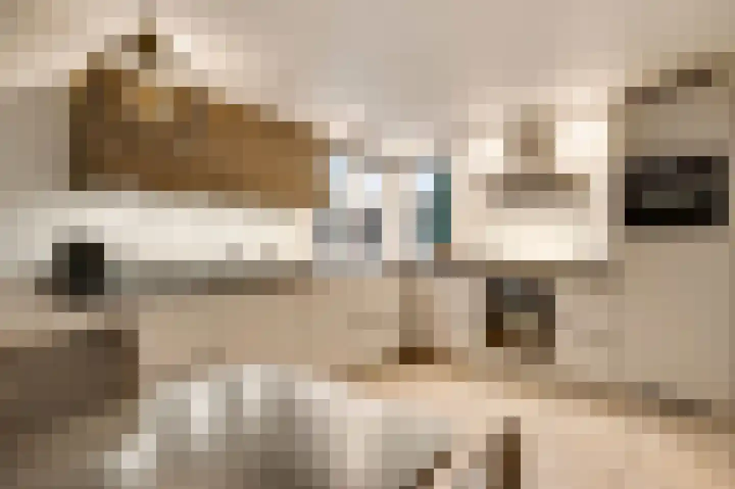 Aan de Mismeer 12 Herkenbosch thumbnail 17