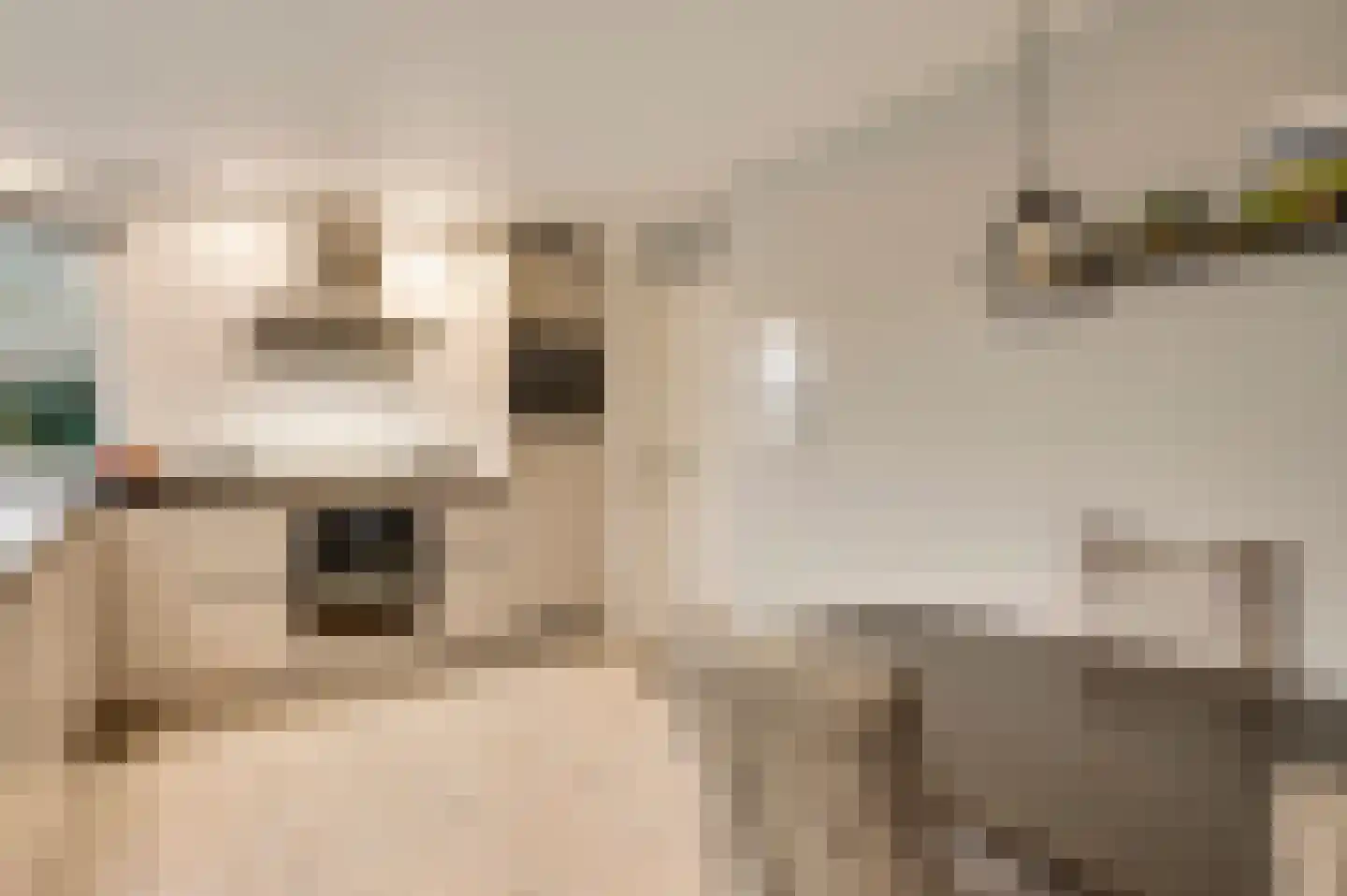 Aan de Mismeer 12 Herkenbosch thumbnail 18