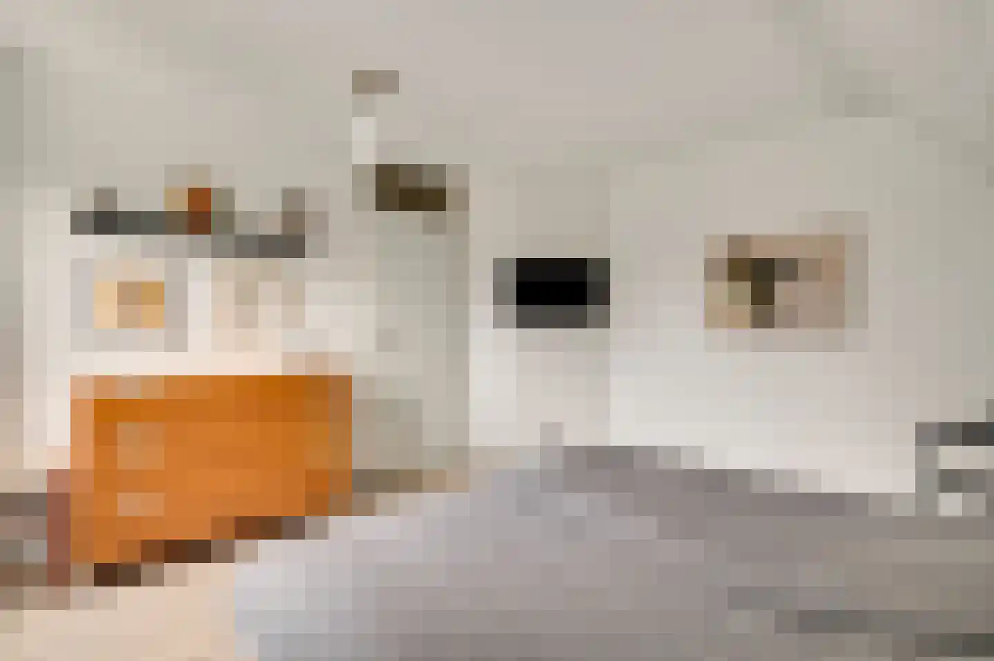 Aan de Mismeer 12 Herkenbosch thumbnail 23