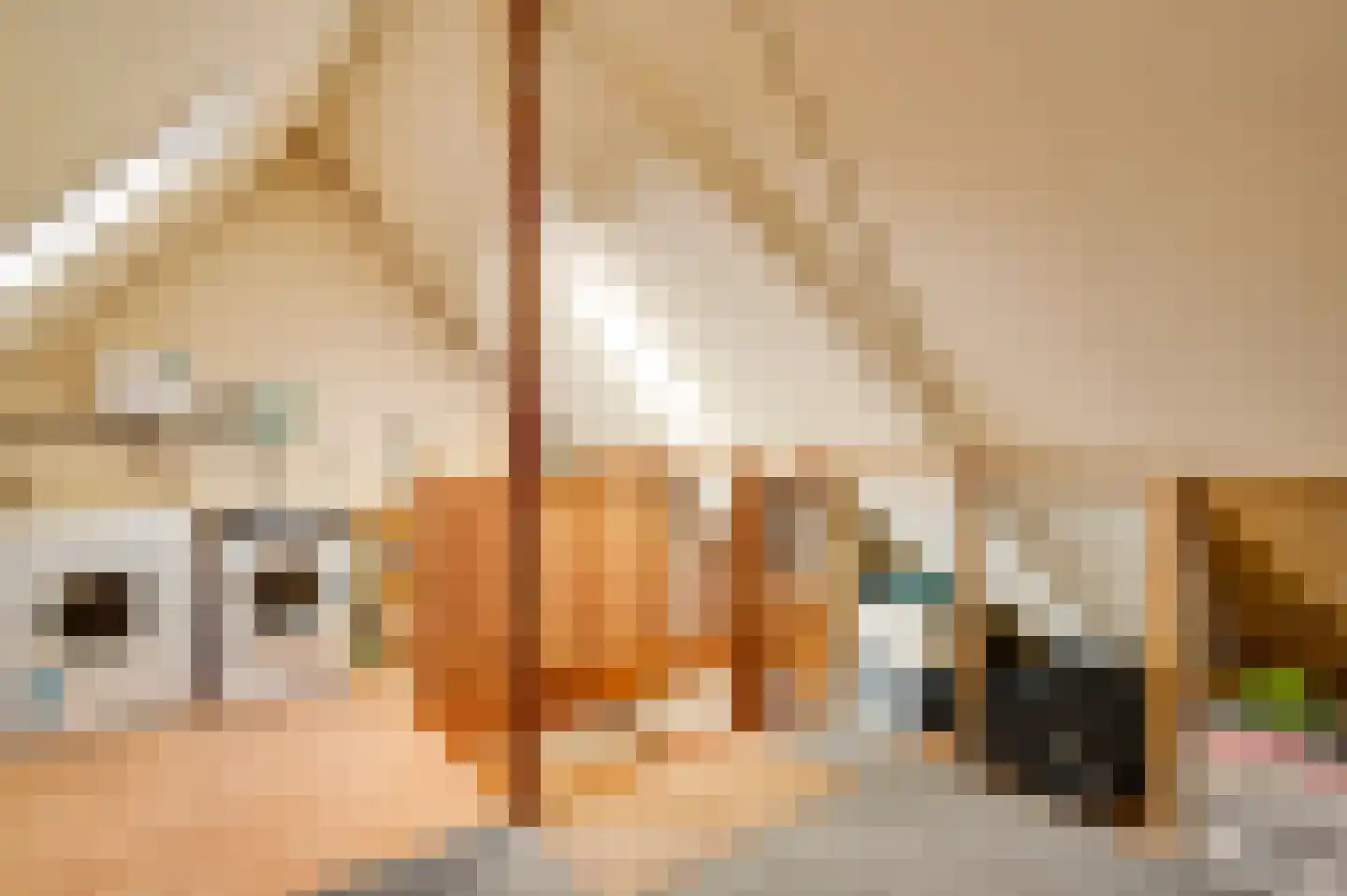 Aan de Mismeer 12 Herkenbosch thumbnail 31