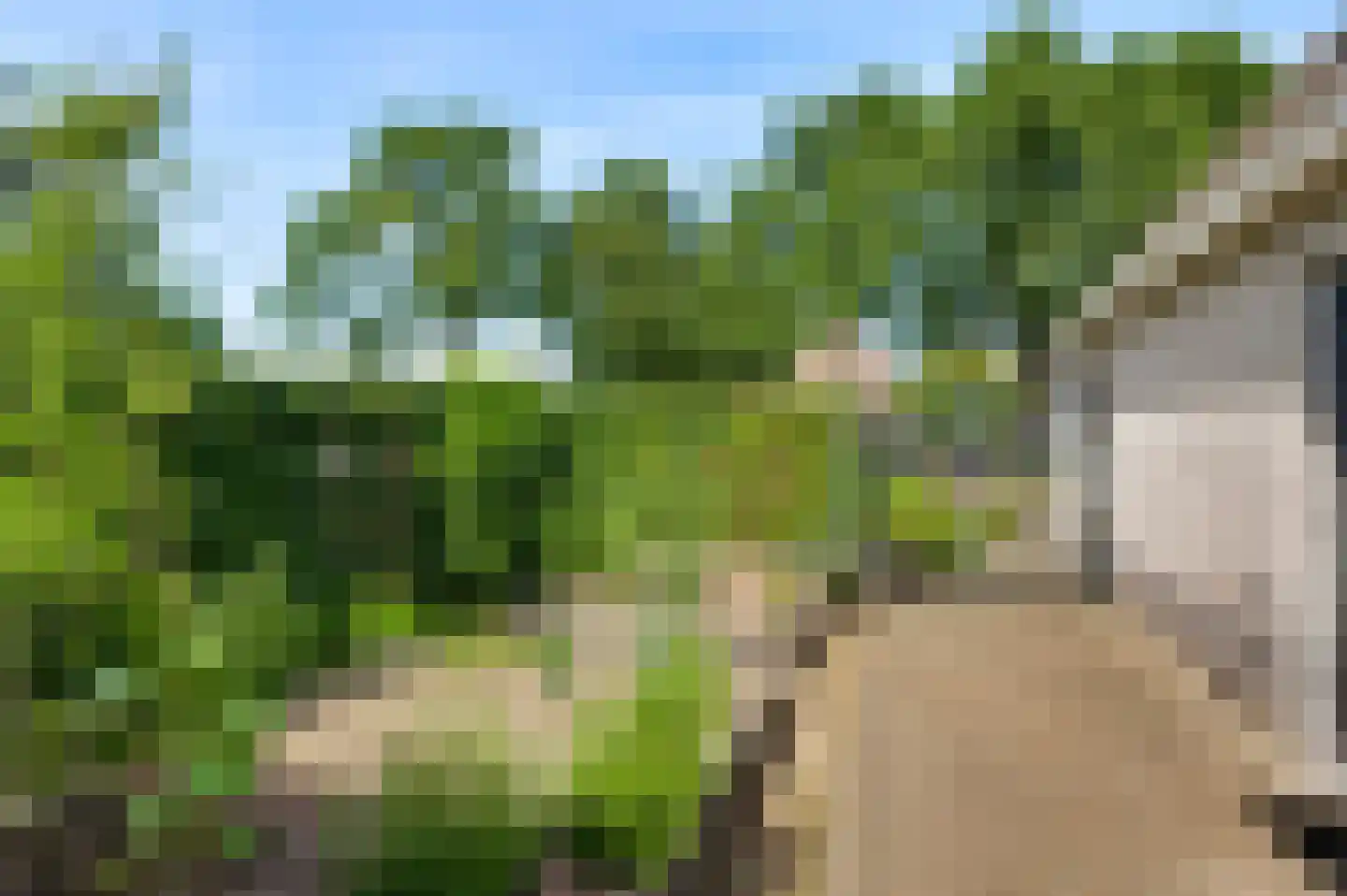 Aan de Mismeer 12 Herkenbosch thumbnail 33