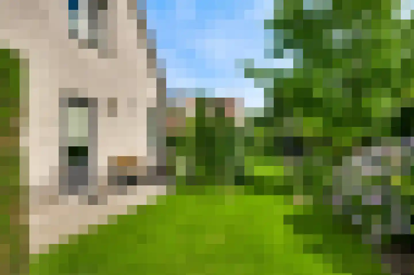 Aan de Mismeer 12 Herkenbosch thumbnail 34