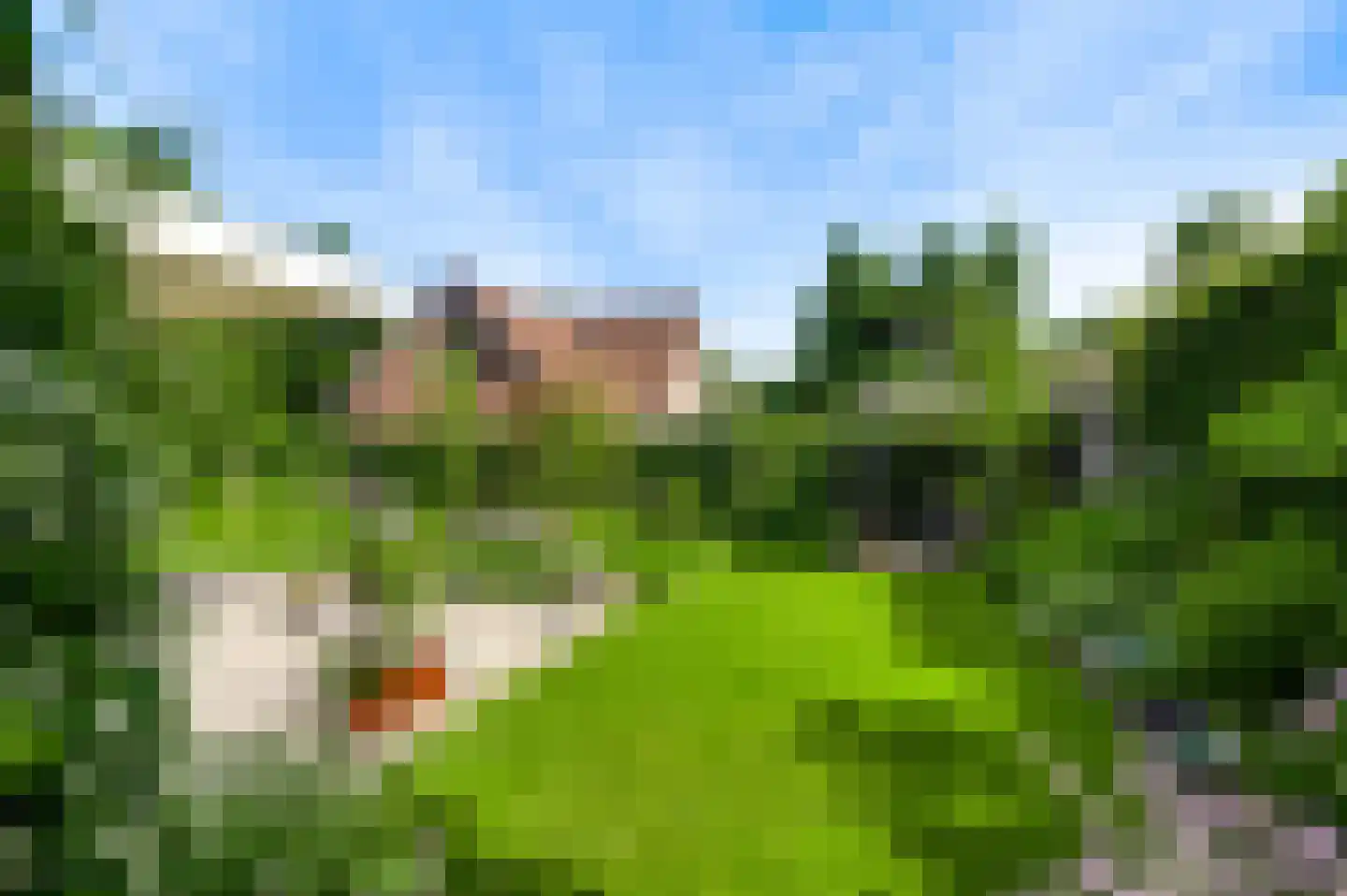 Aan de Mismeer 12 Herkenbosch thumbnail 35