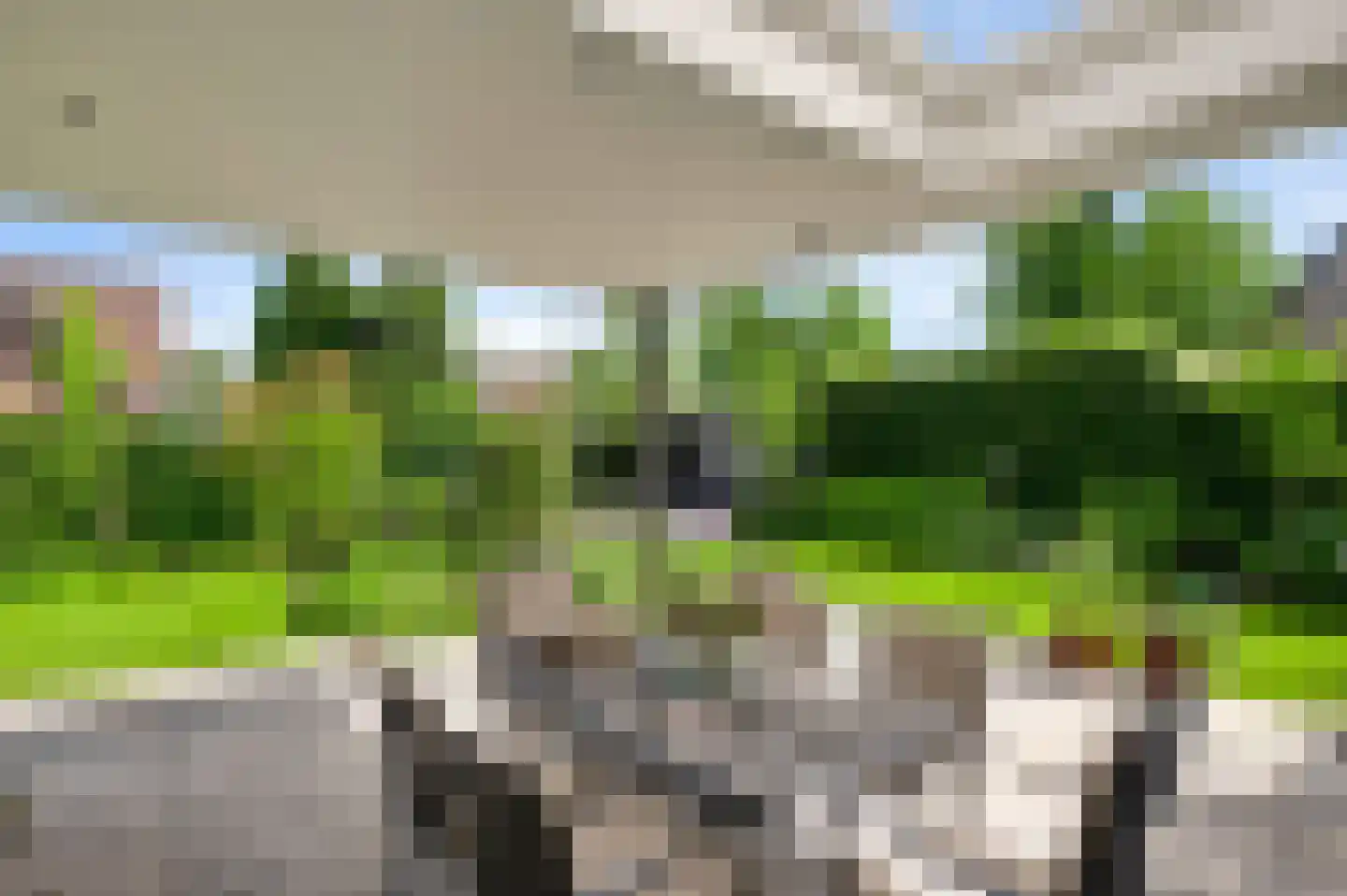 Aan de Mismeer 12 Herkenbosch thumbnail 36