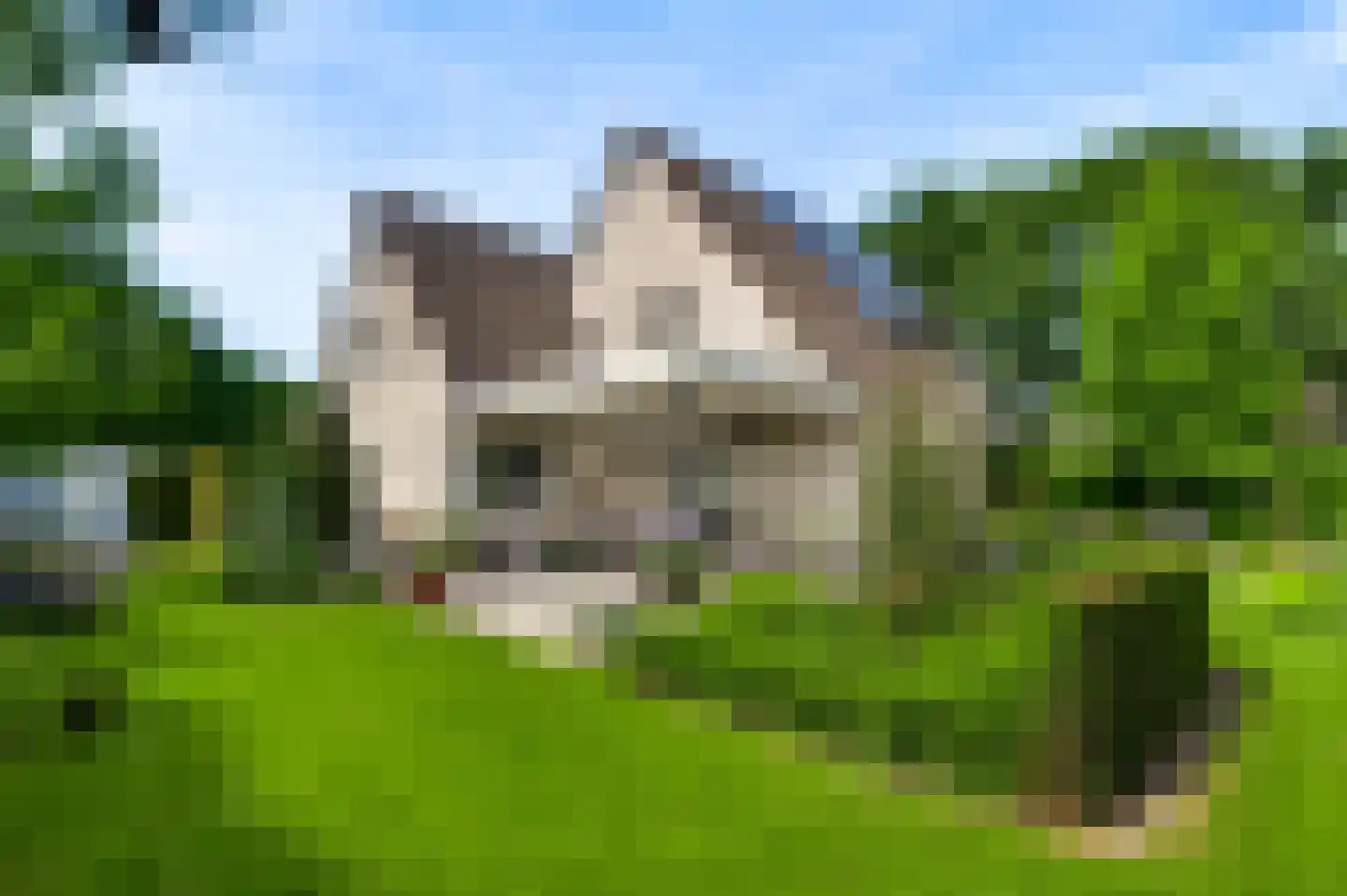 Aan de Mismeer 12 Herkenbosch thumbnail 38