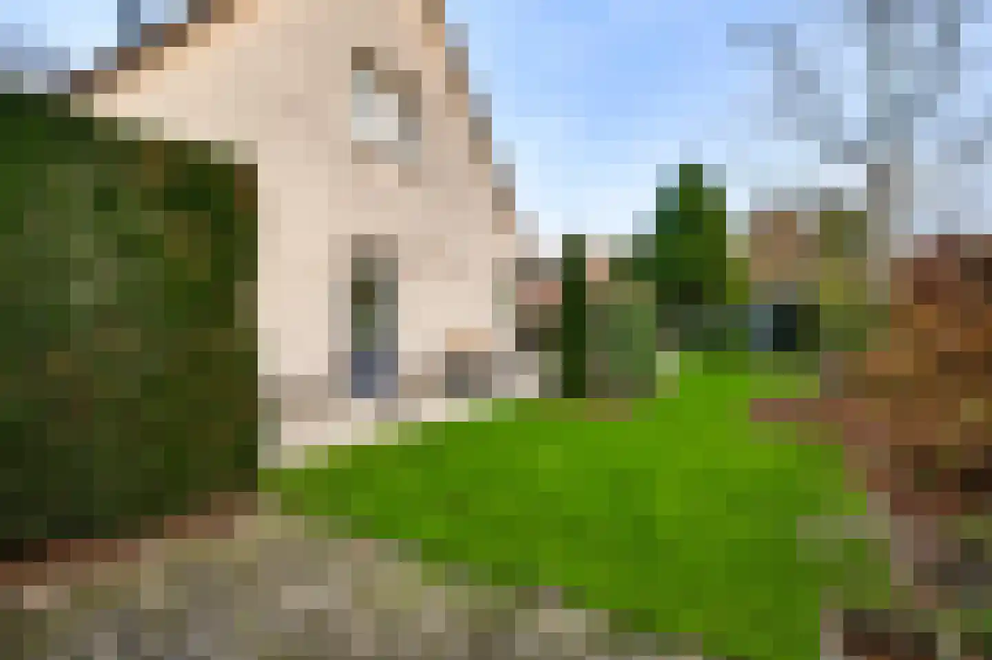 Aan de Mismeer 12 Herkenbosch thumbnail 38