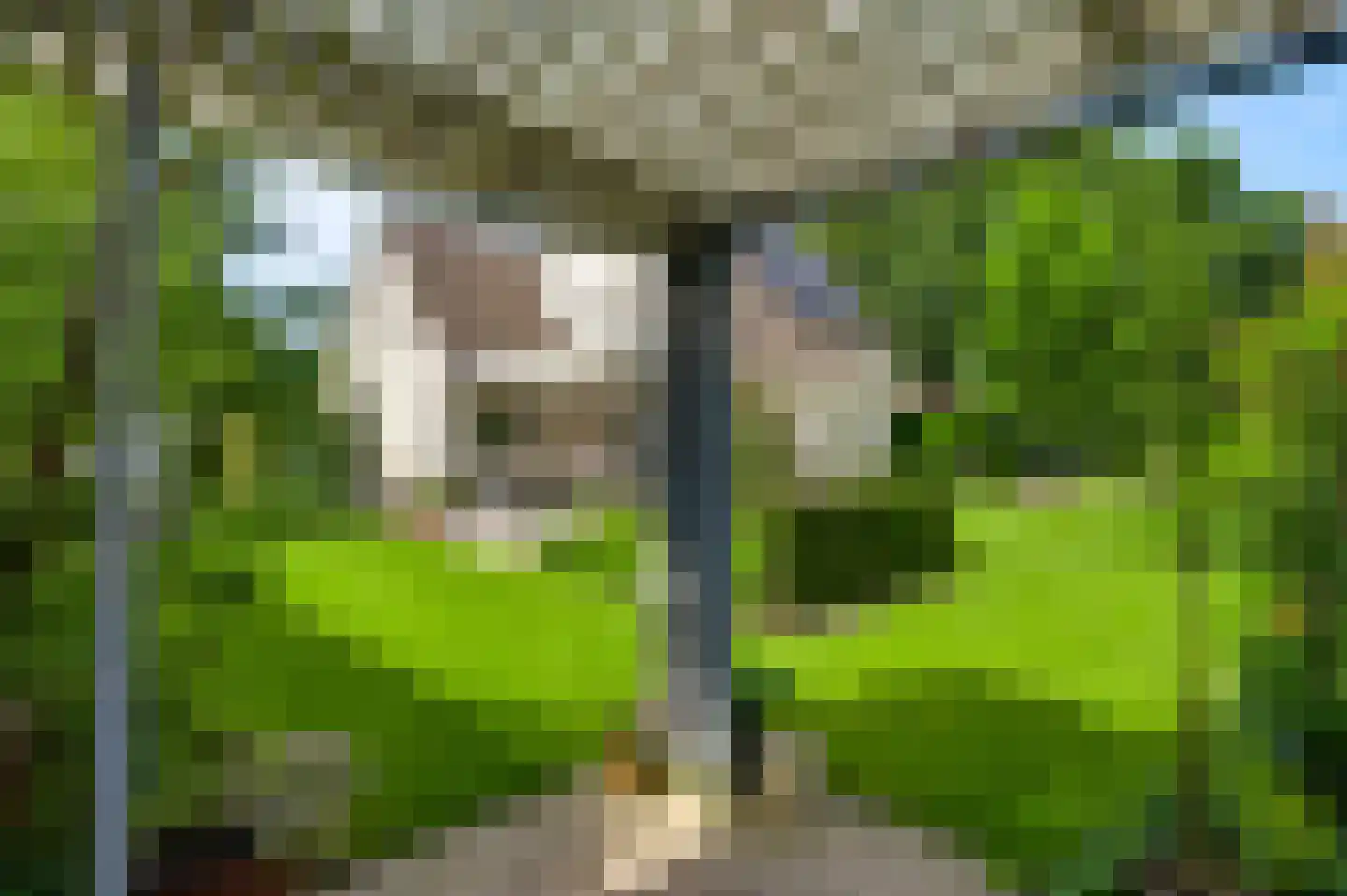 Aan de Mismeer 12 Herkenbosch thumbnail 39