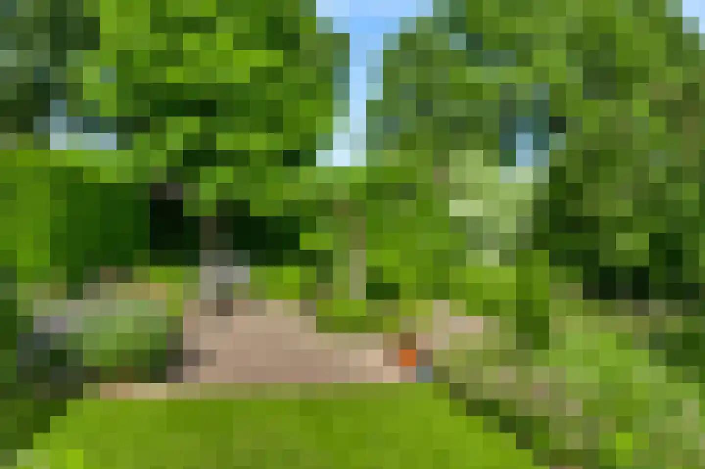 Aan de Mismeer 12 Herkenbosch thumbnail 41