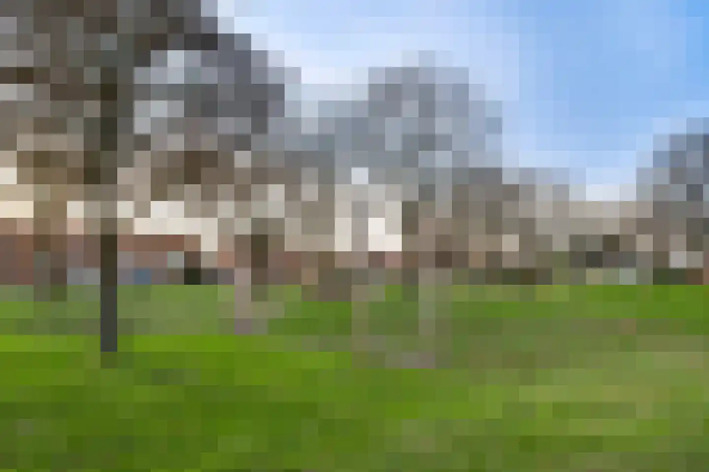 Aan de Mismeer 12 Herkenbosch thumbnail 44