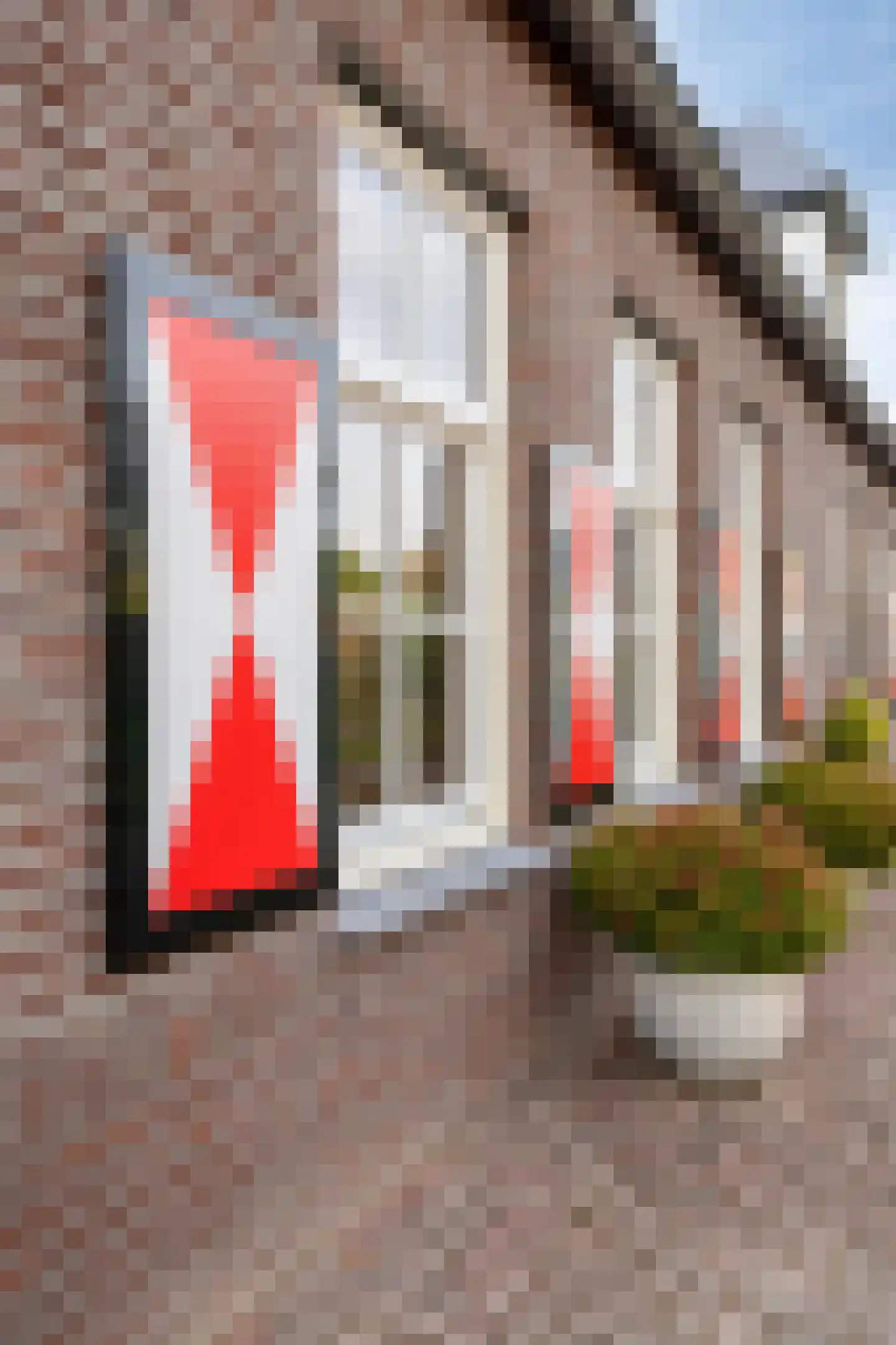 Aan de oude Markt 4 Posterholt thumbnail 7