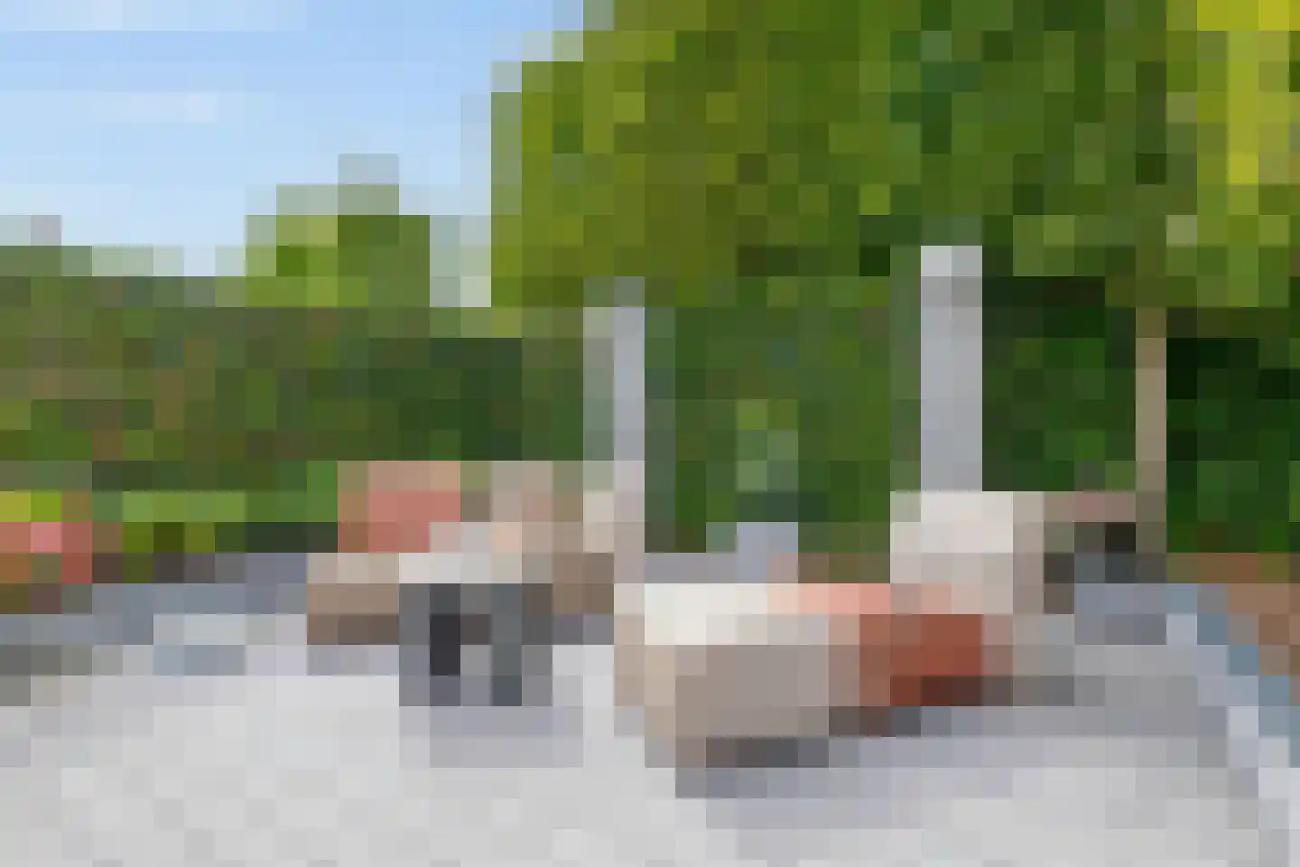 Aan de Pas 33 Steyl thumbnail 19