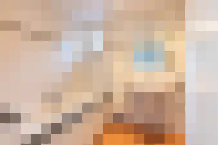 Aan de Put 14 Landgraaf thumbnail 19
