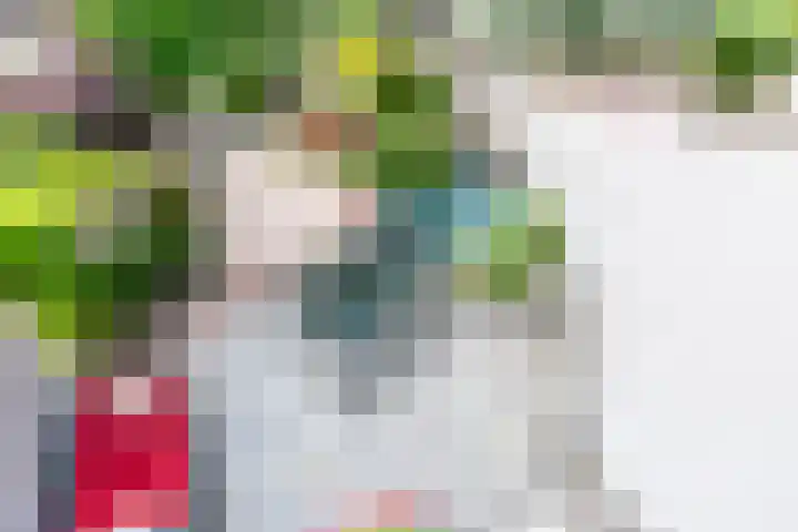 Aan de Put 14 Landgraaf thumbnail 21