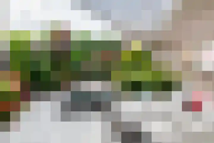 Aan de Put 14 Landgraaf thumbnail 22