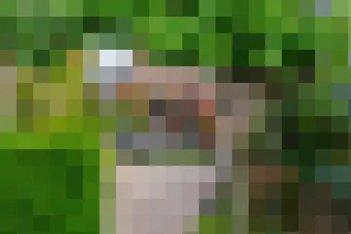 Aan de Put 14 Landgraaf thumbnail 23
