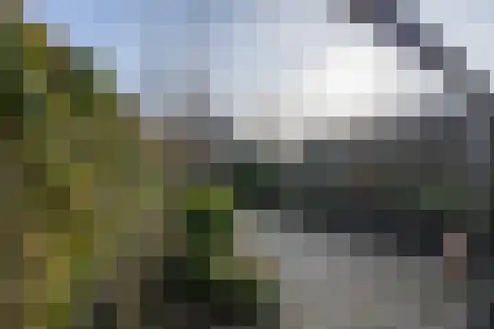 Aan de Put 14 Landgraaf thumbnail 26