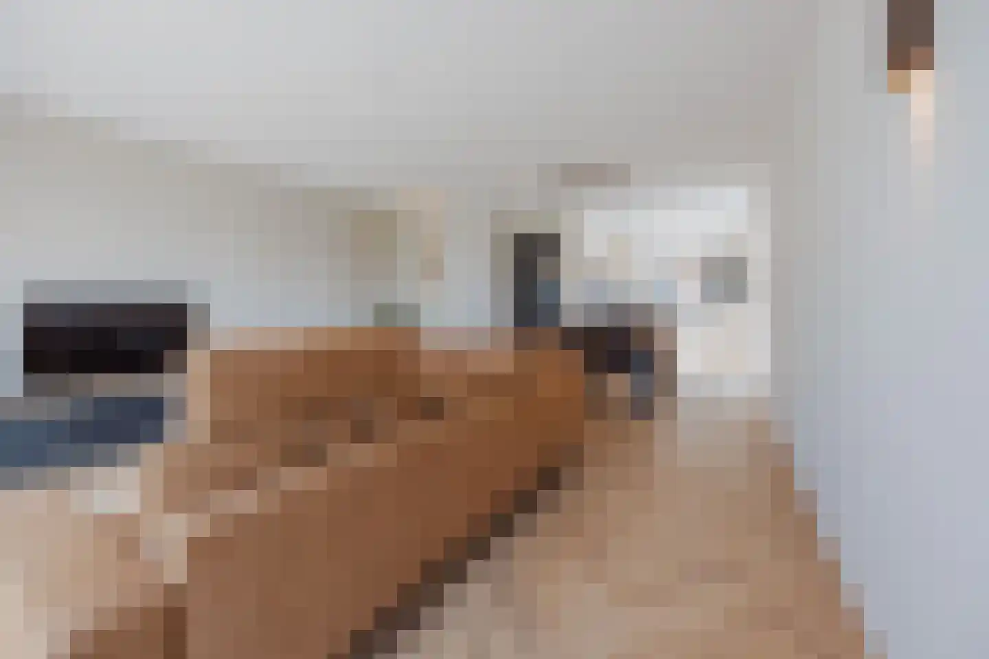Aan de Ruuj 3 Lottum thumbnail 10