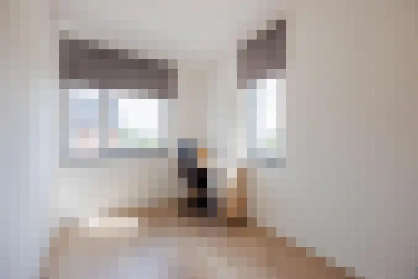 Aan de Ruuj 3 Lottum thumbnail 21