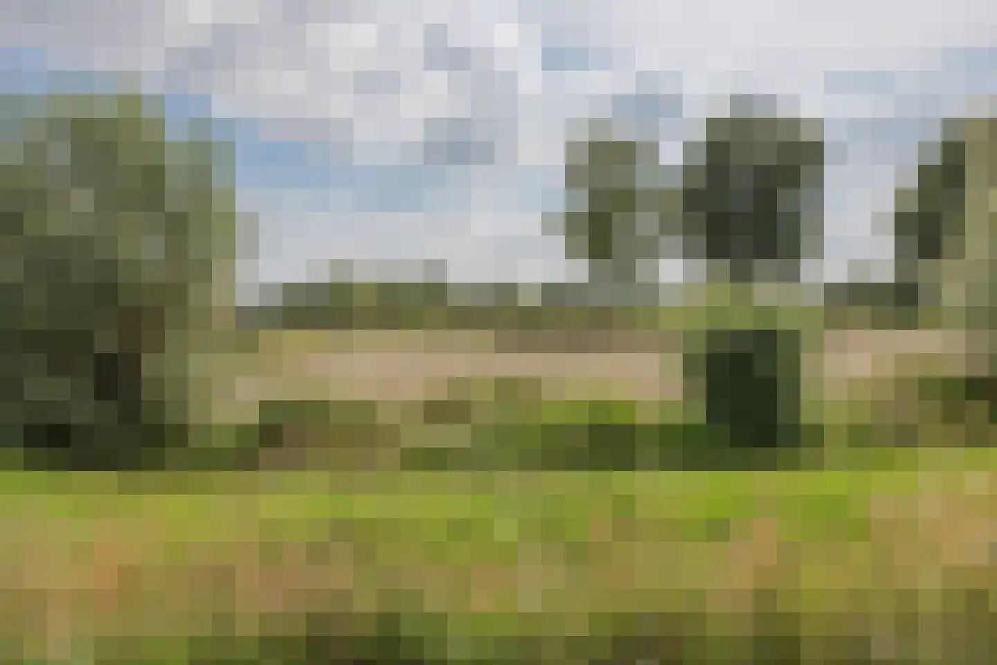 Aan de Ruuj 3 Lottum thumbnail 33