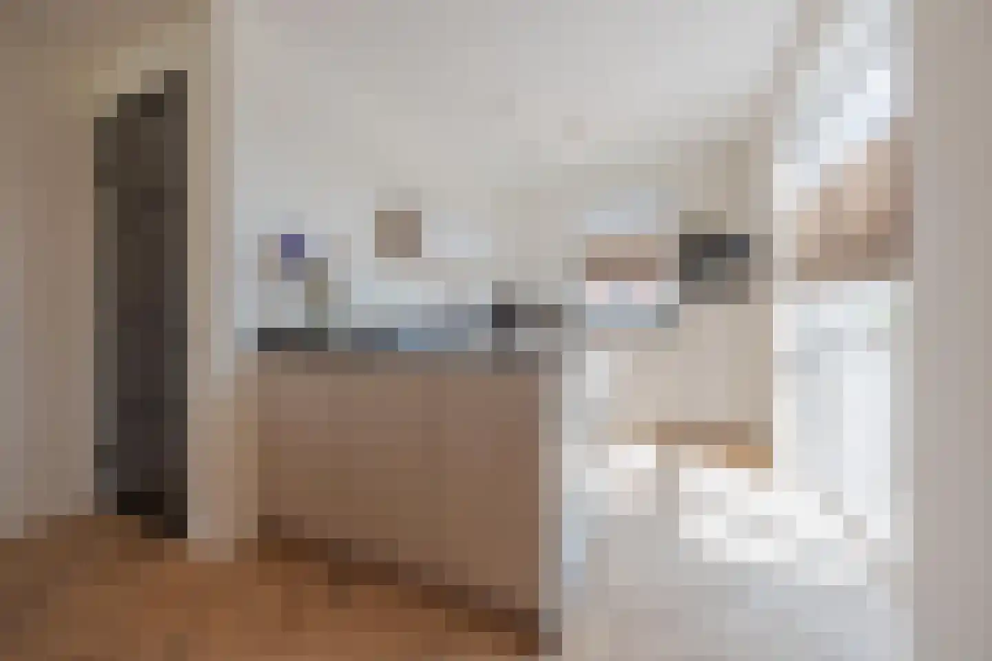 Aan de Ruuj 3 Lottum thumbnail 4