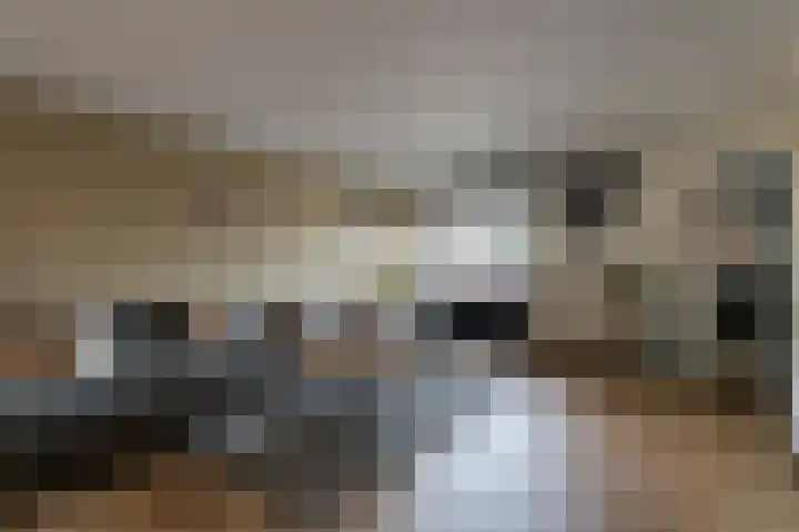 Aan de Schacht 27 Landgraaf thumbnail 6