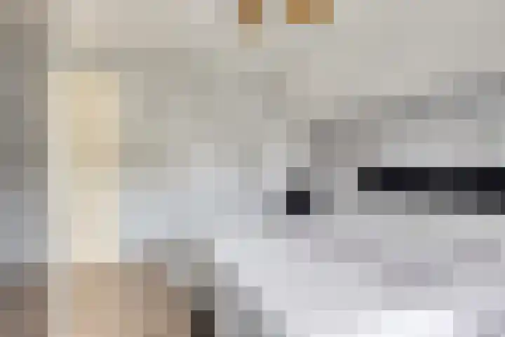 Aan de Sniemeulen 7 Neer thumbnail 12