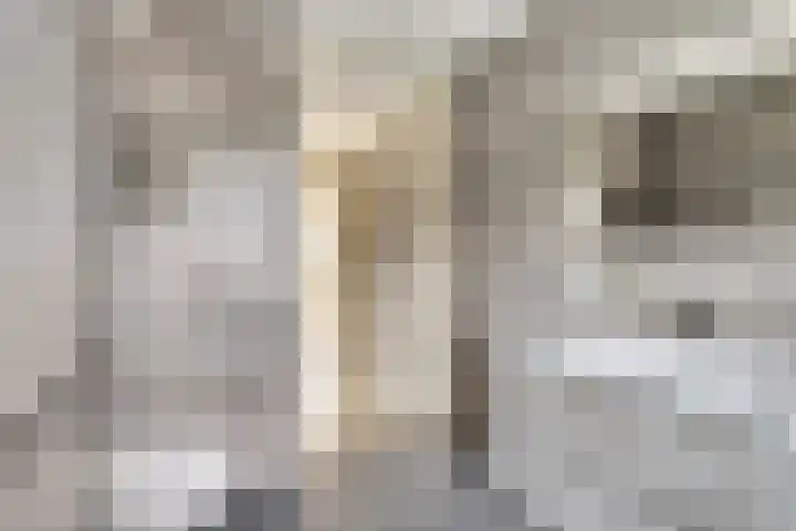 Aan de Sniemeulen 7 Neer thumbnail 16