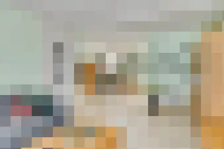 Aan de Sniemeulen 7 Neer thumbnail 4